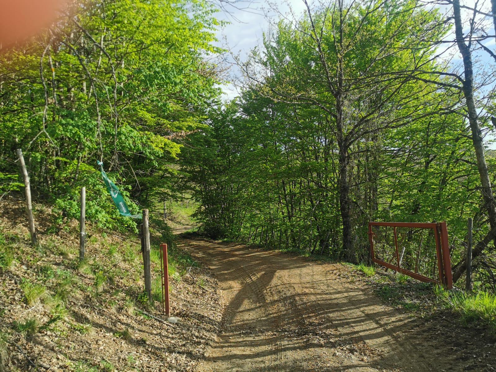 Ultralifoj 8